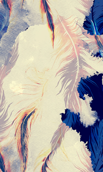 Flying Feathers