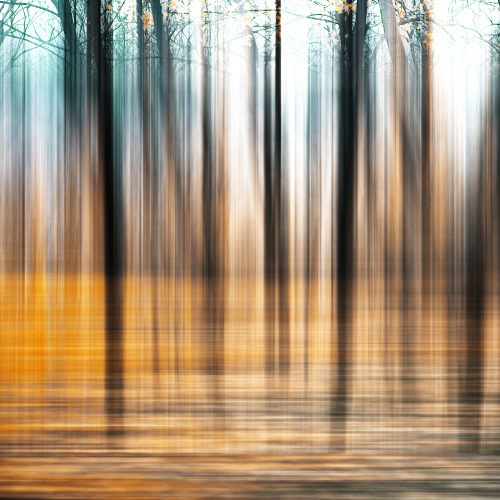 Blurred Landscape