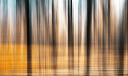 Blurred Landscape