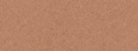 Zintra Print in Creamsicle