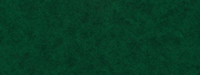 Zintra Print in Green