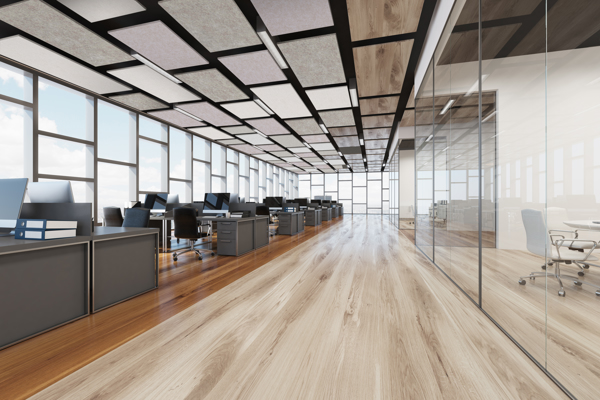 CEILING FEATURES Collection