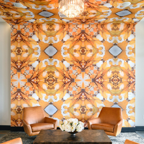 DIGITAL IMAGING Collection