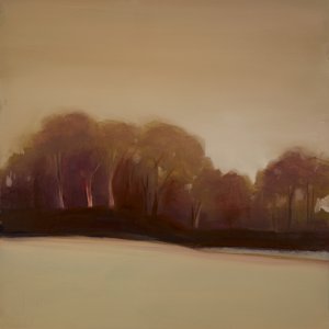 Last Light by Michelle Abrams