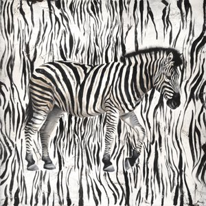 Wild Stripes by Stefano Altamura