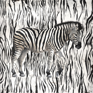 Wild Stripes