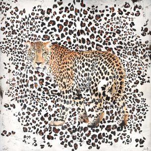 Wild Spots by Stefano Altamura