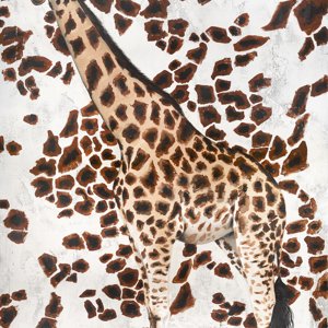 Even-Toed by Stefano Altamura