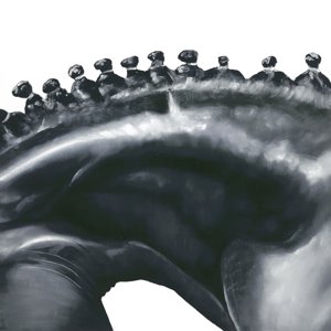 Horse Detail 3 by Stefano Altamura