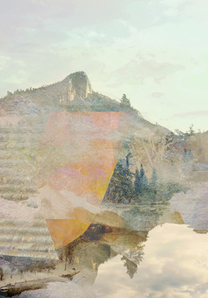 Nature Collage I