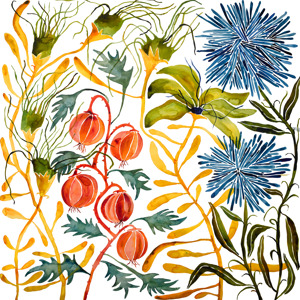 Wildflowers 1