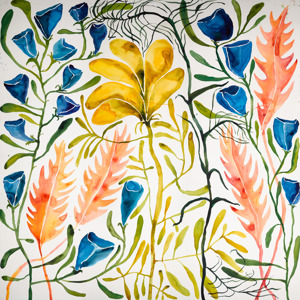 Wildflowers 2