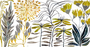 Wildflowers 6