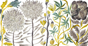 Wildflowers 7