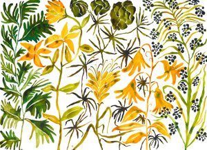 Wildflowers 10
