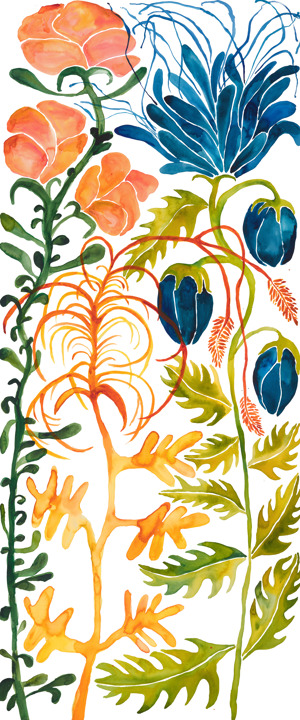 Wildflowers 12