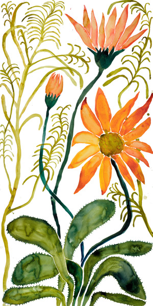 Wildflowers 13