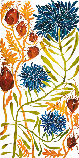 Wildflowers 14
