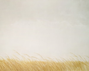 Reeds