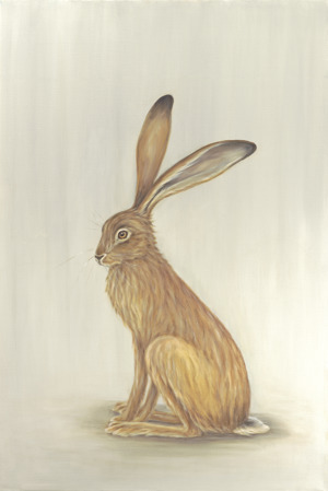 Resting Hare