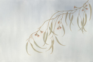 Eucalyptus in Flower