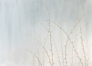 Willow Wands