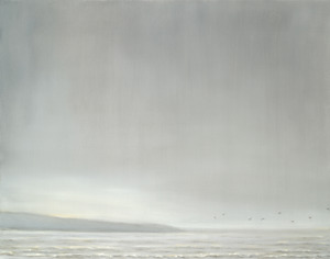Sea and Birds