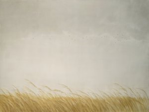 Reeds