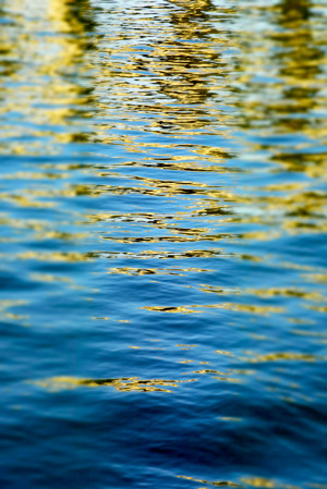 Gilded Seas
