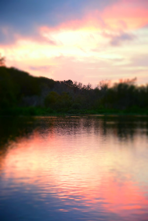 Land of Enchantment #3