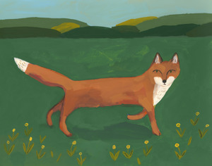 Fox in the Field
