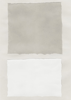 Neutral Colorblock 1