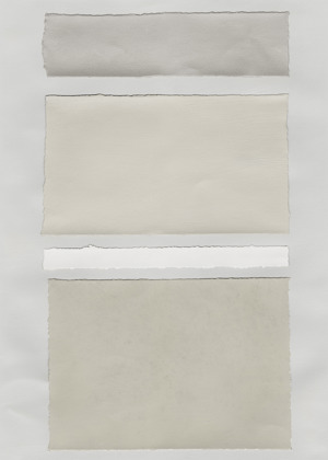 Neutral Colorblock 2