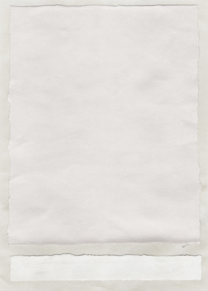 Neutral Colorblock 4