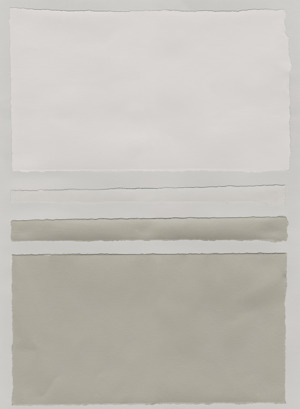 Neutral Colorblock 5