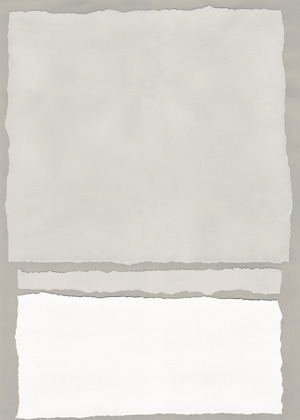 Neutral Colorblock 6