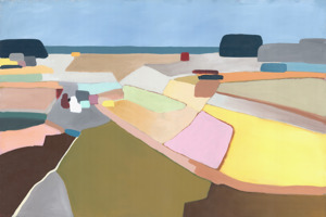 Patchwork Field