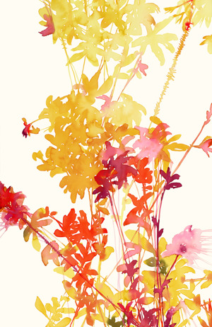 Floral 4