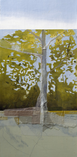 Measured by Seasons B