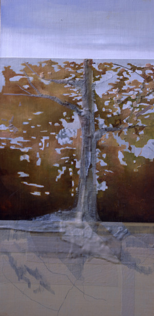 Measured by Seasons C