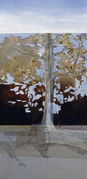 Measured by Seasons D