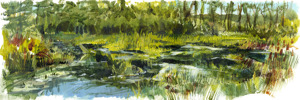 Clear Creek