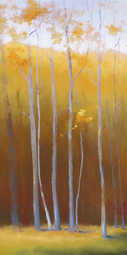 A Fall Afternoon by Teri Jonas