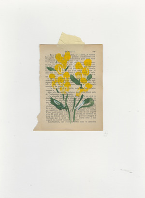 Fleurs Parisiennes 9