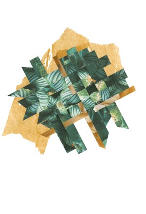 Interwoven Tropics