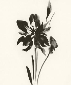 March: Jonquil