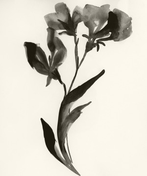 April: Sweet Pea