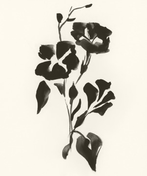 September: Morning Glory