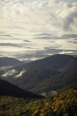 Foggy Blue Ridge Morning