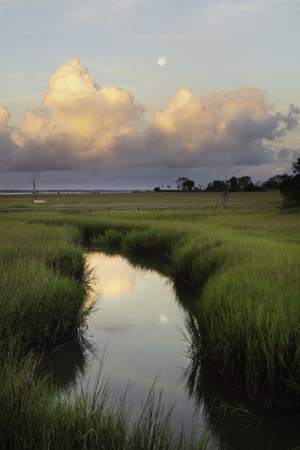 Shem Creek Moon